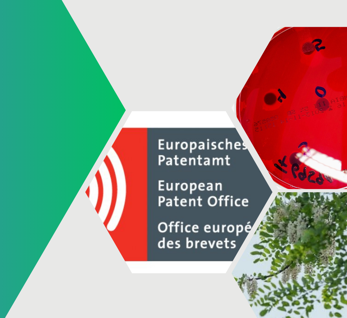 Patent Placeholder Image